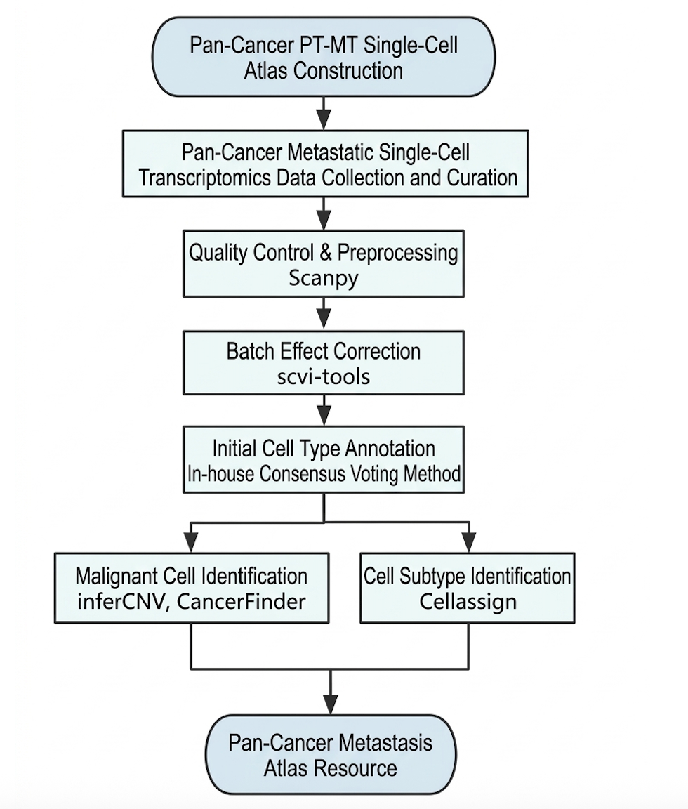 data_procession